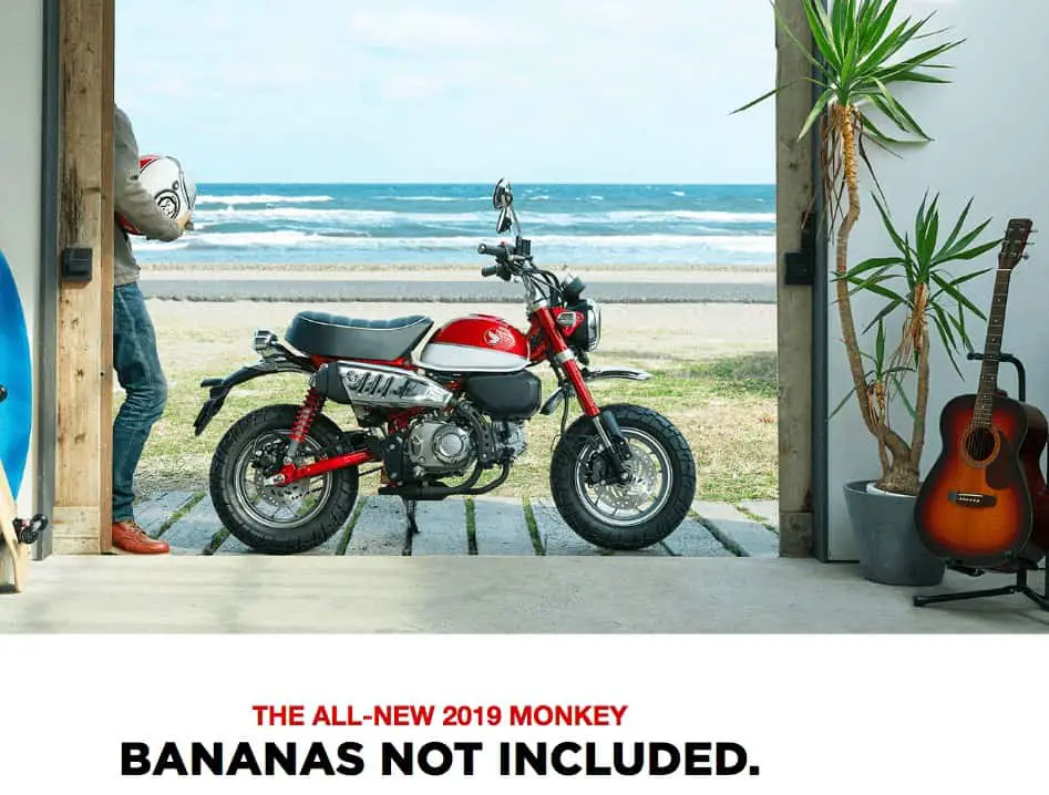 Honda Monkey - Bananas Not Included